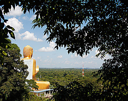xs nam dinh