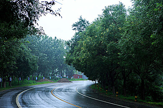 xskt da lat