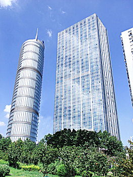 soi cau bach thu khung 5 ngay