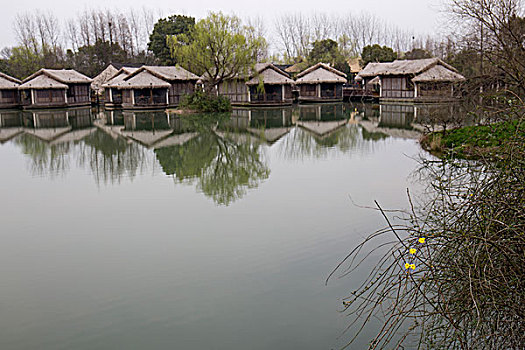 soi cau bạch thu mb