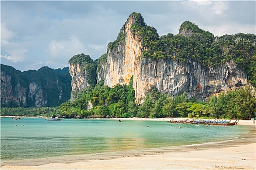 cau bach thu hom nay
