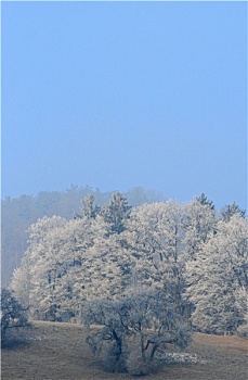 thống kê lô rơi