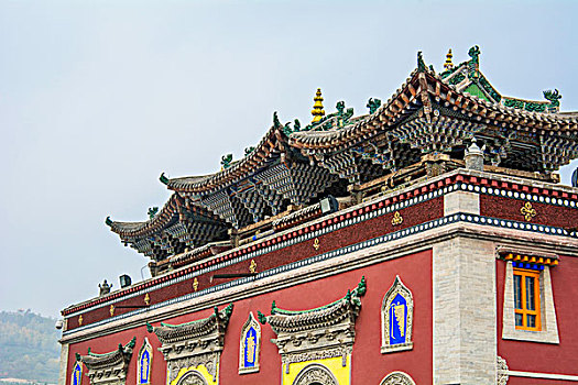 soi câu lo