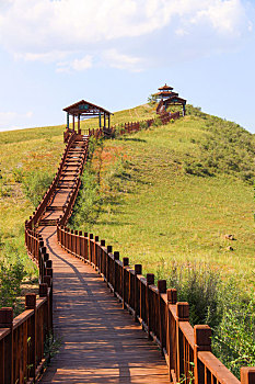 soi cau lo rong bach kim