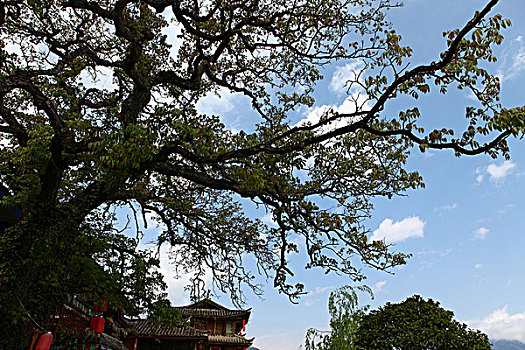 tham khảo xổ số miền nam