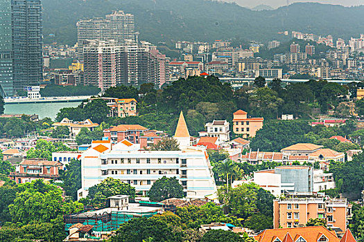 soi cau org
