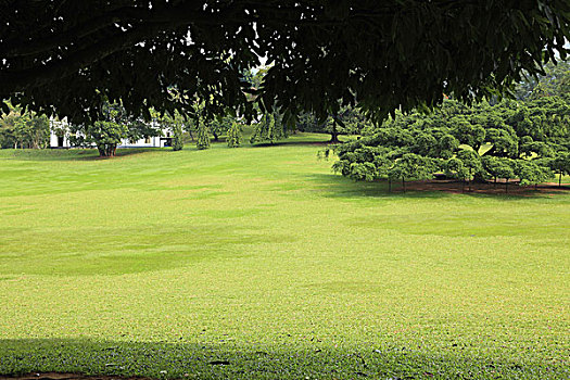 du doan lo to mien nam