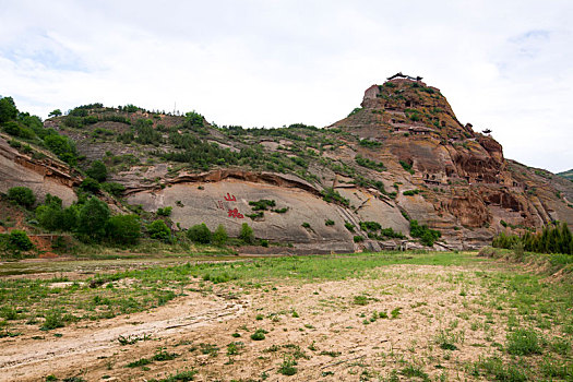 rong vang bach kim