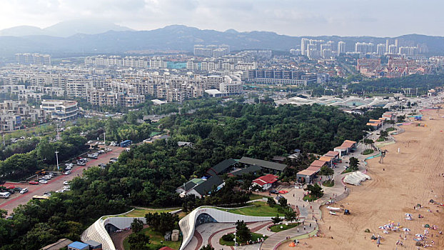 soi cau rong bạch kim