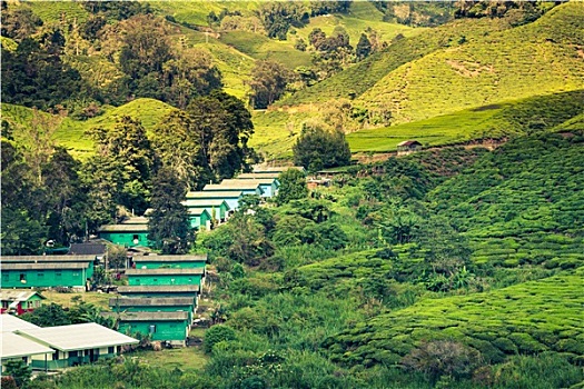 chỉ cách đánh đề