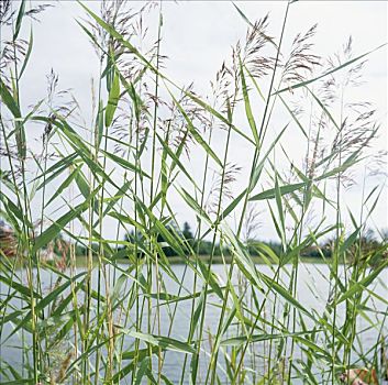 tra cứu kết quả xổ số