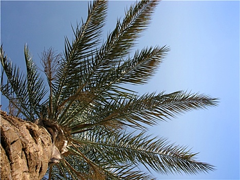 dự đoán lô đề hôm nay