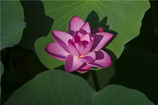 soi cầu xsmb hom nay