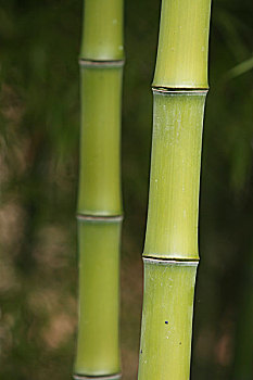 kết quả xổ số miền nam thứ ba hàng tuần