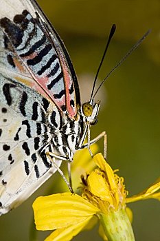 xổ số miền bắc thứ hai hàng tuần