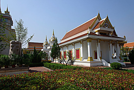 soi cau lo mien bac hom nay