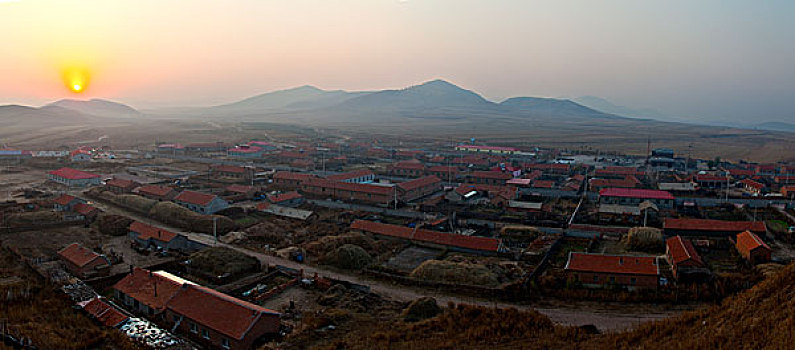hôm nay bạch thủ con gì