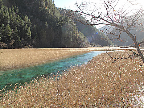 du doan bach thu lo