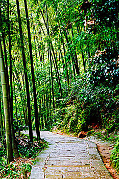 lô miền bắc hôm nay