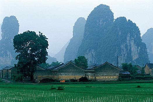 du doan xs mien nam