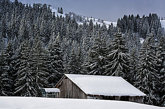 xskg du doan