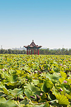xổ số miền nam thứ