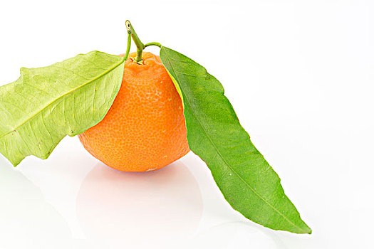 kết quả xổ số 30