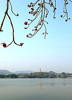 soi cầu thống kê miền bắc