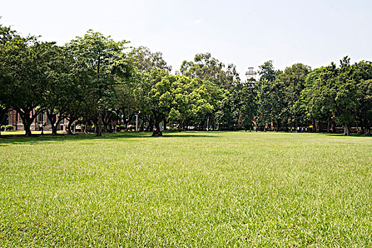 xs thu ba hang tuan