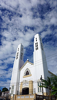 rong bach kim 888 mien phi