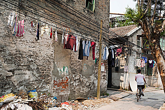 bạch thủ lô chuẩn