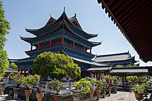 soicau888 rongbachkim