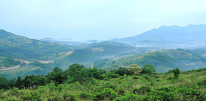 soi cau 368 chinh xac