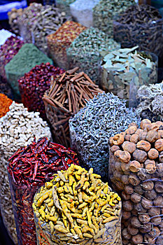 soi cầu bạch thủ hôm nay