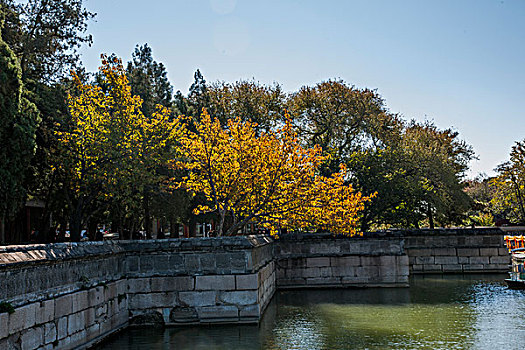 kết quả germany