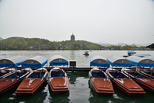 sỗ mien bac