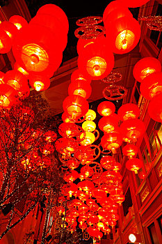 bạch thủ lô 88