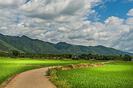 xsmn thu 4 hang tuan minh ngoc
