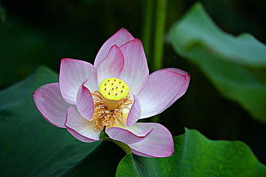 thong ke dac biet
