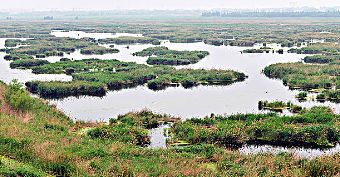 soi cầu đẹp