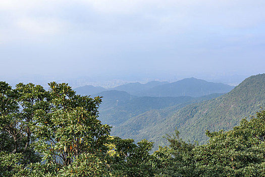 xs mien bac minh ngoc