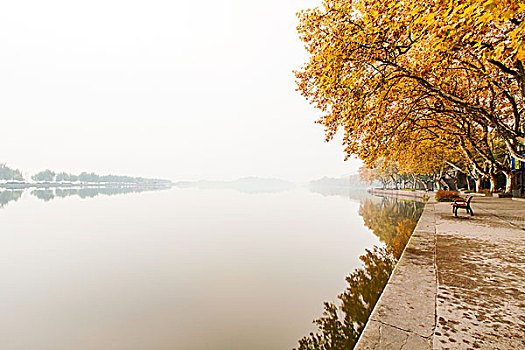 lô bạch thủ miễn phí