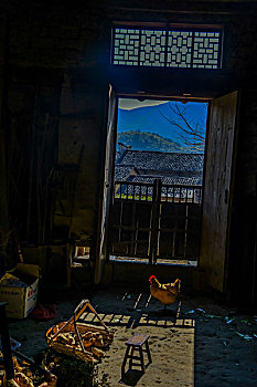 soi sô lô đê bach thu
