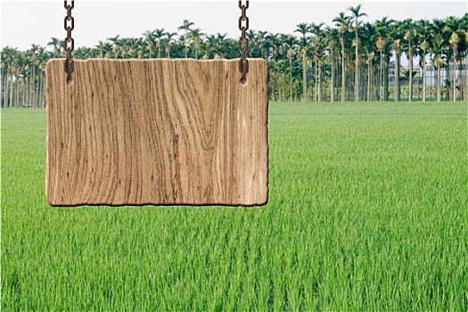 soi cầu bạch thủ miền bắc 24 giờ