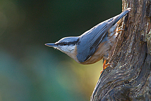 du doan xsmb atrungroi