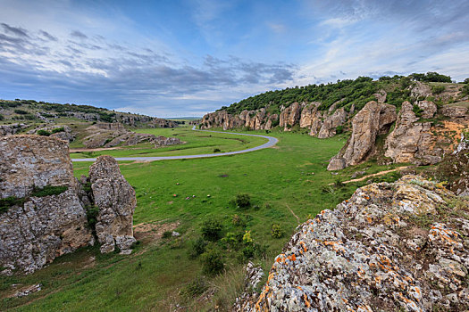 cau bach thu