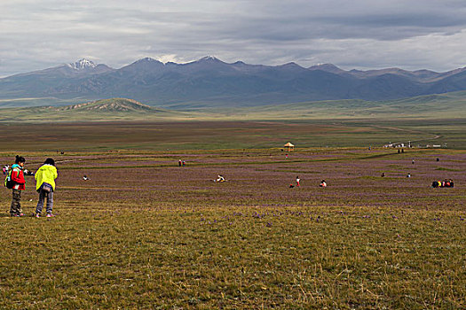 xsmb cau bach thu
