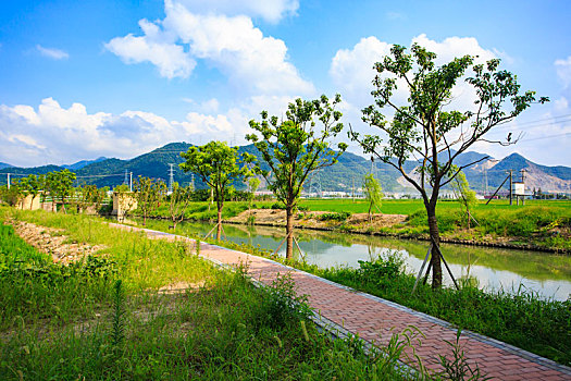 xsmb thu tu hang tuan