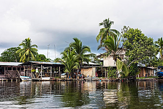 dự đoán xổ số trà vinh hôm nay