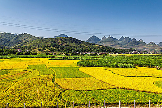 xố so mien bac